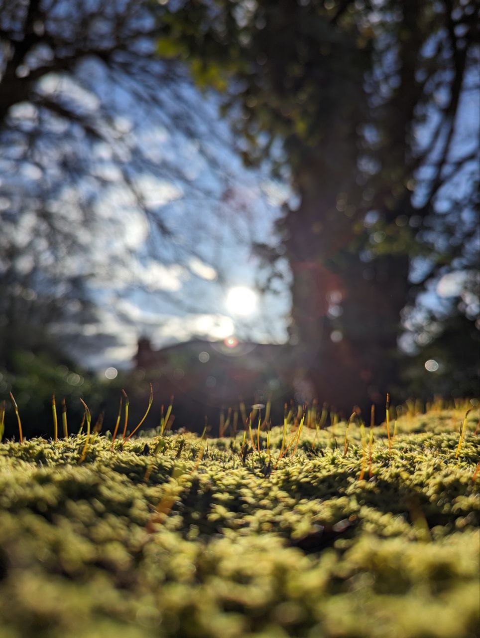 вдохновленные солнцем горами холодом кайф image preview